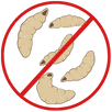 Maggot Control Lyndhurst