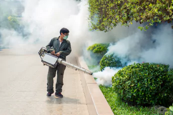 Mosquito Control Lyndhurst